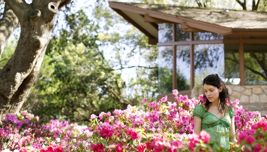 Woman standing in hibiscus garden Woman standing in hibiscus garden