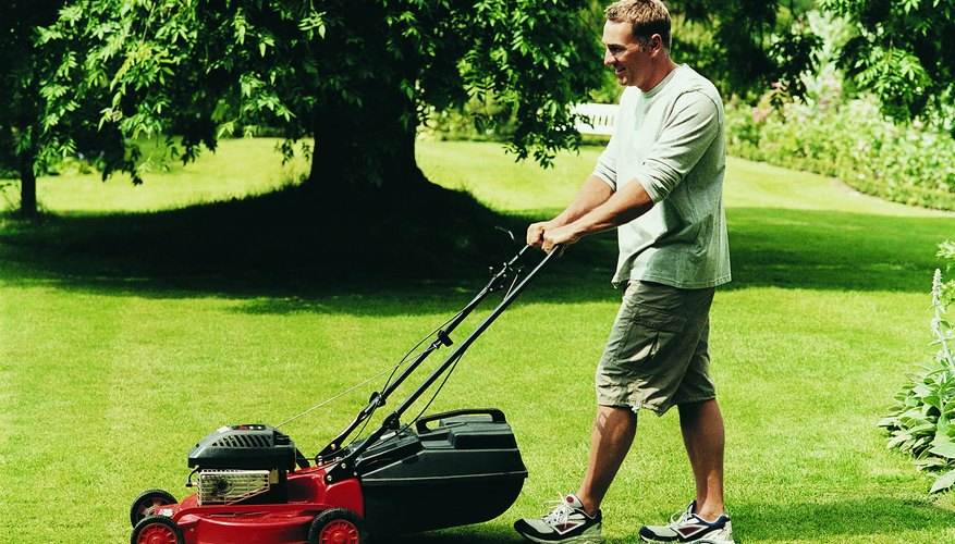Power lawnmower. Power lawnmower.