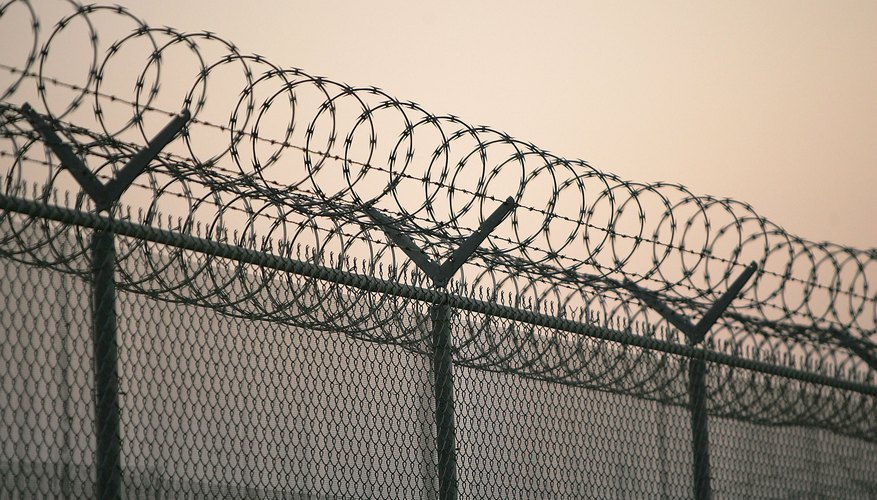 Teens often wind up in correctional youth camps due to drug and gang affiliation. Teens often wind up in correctional youth camps due to drug and gang affiliation.