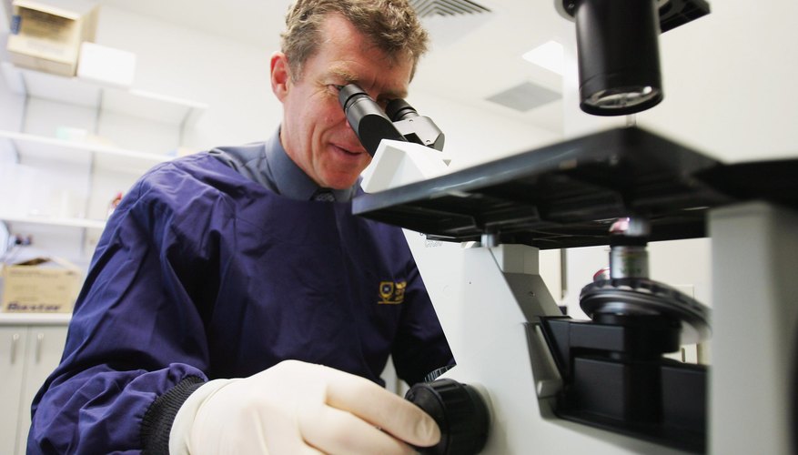 Microbiologists study the smallest forms of life. Microbiologists study the smallest forms of life.