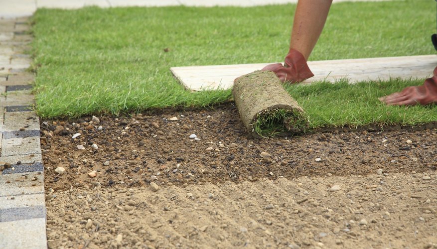 A gardener lays down new sod. A gardener lays down new sod.