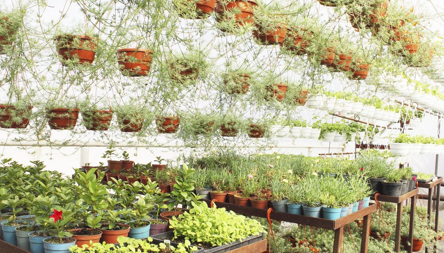 How to Make Greenhouse Shelving | Garden Guides