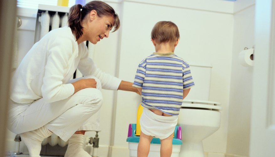 Show your child every step of the toileting process. Show your child every step of the toileting process.