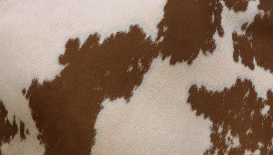 Create either brown or black spots on white microfiber for a DIY cow skin rug. Create either brown or black spots on white microfiber for a DIY cow skin rug.