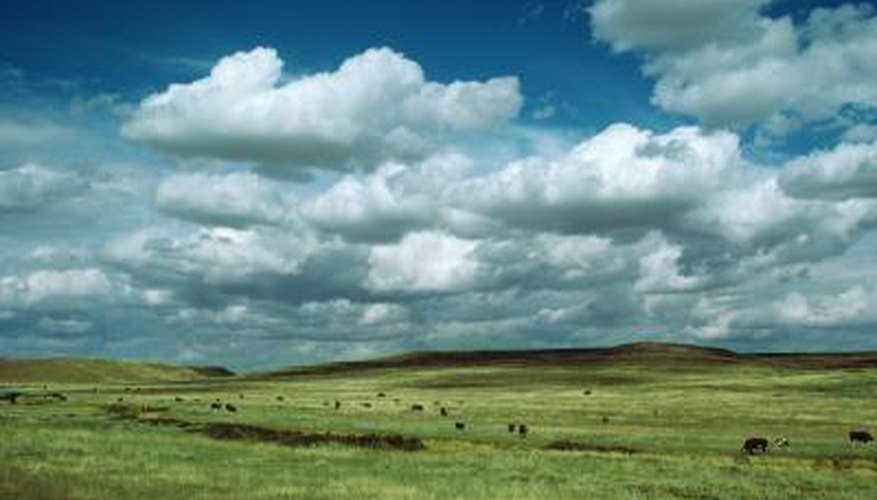 climate-in-temperate-grasslands-sciencing