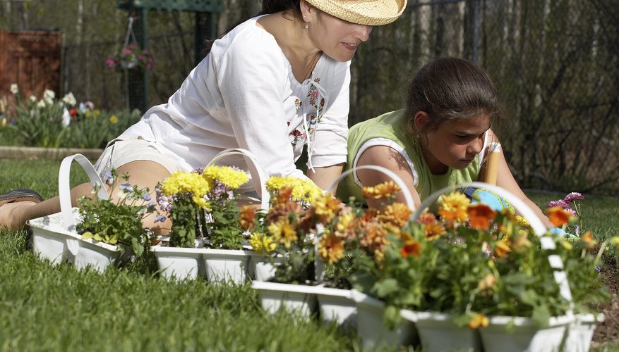 Gardening Gardening