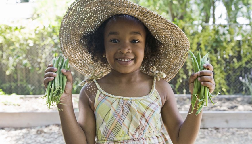 With the harvest picked, tuck your garden in for winter. With the harvest picked, tuck your garden in for winter.