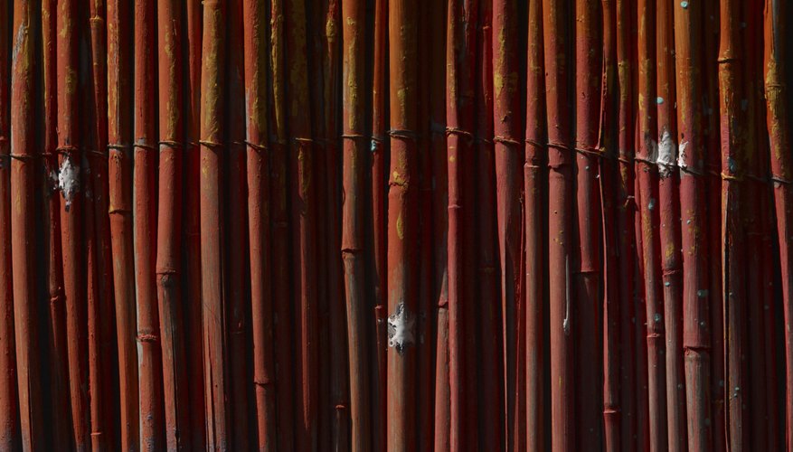 Bamboo fencing is commonly sold in as wired-together panels, either 4 or 6 feet tall. Bamboo fencing is commonly sold in as wired-together panels, either 4 or 6 feet tall.