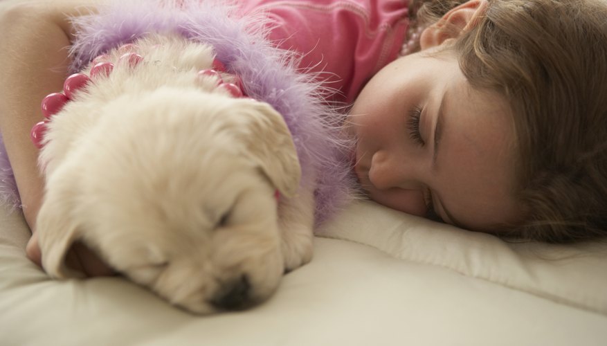 Girl sleeping with dog Girl sleeping with dog