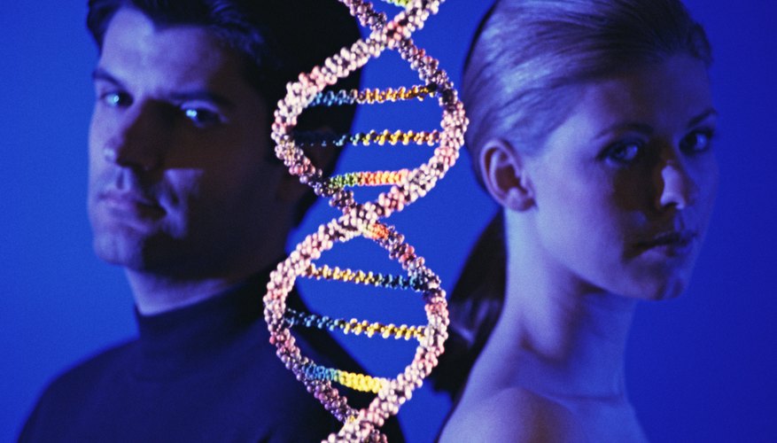 Genes code for proteins, not traits. Genes code for proteins, not traits.