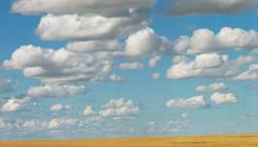 A prairie is a type of temperate grassland. A prairie is a type of temperate grassland.