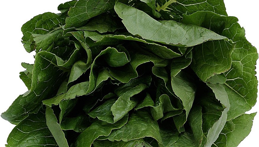 Spinach is loaded with iron and folate. Spinach is loaded with iron and folate.