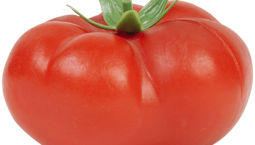 Tomatoes range in size from currant varieties to 6-pound giants. Tomatoes range in size from currant varieties to 6-pound giants.