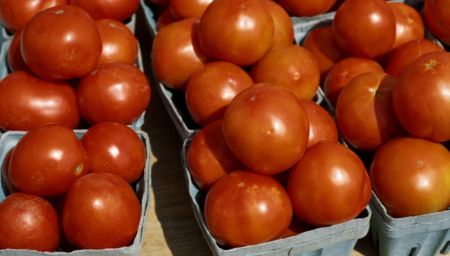 On average, one acre of tomatoes will produce slightly more than 1,500 25-pound cartons. On average, one acre of tomatoes will produce slightly more than 1,500 25-pound cartons.