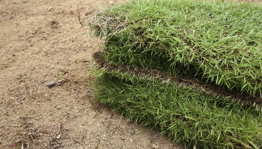 New sod ready to be planted. New sod ready to be planted.