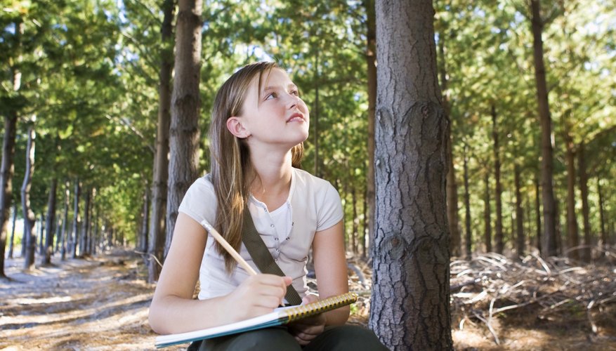 A girl sits on a stump while studying trees. A girl sits on a stump while studying trees.