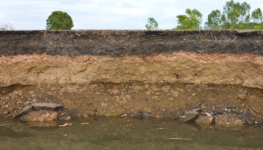 You need a layer of topsoil above sandy soil. You need a layer of topsoil above sandy soil.