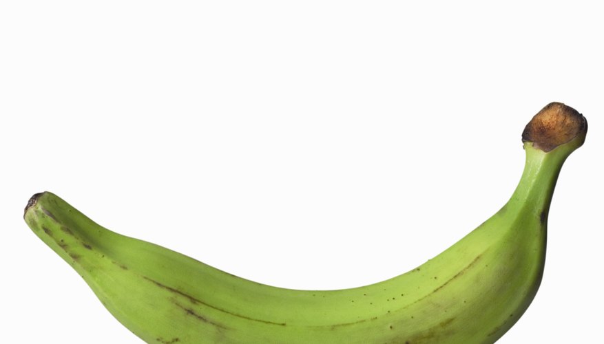 Plantains are mild in flavor and might appeal to small kids. Plantains are mild in flavor and might appeal to small kids.