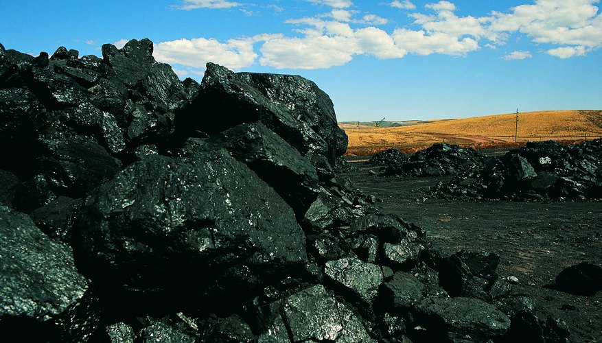 Coal Coal