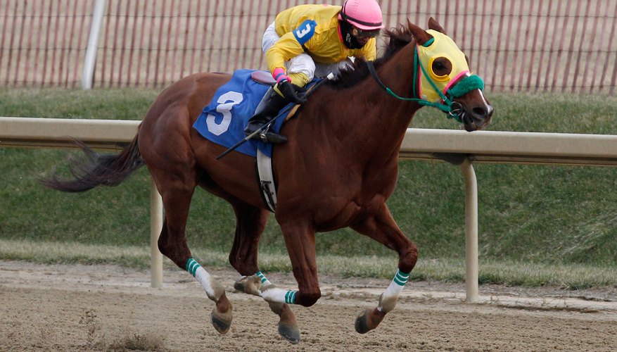 A horse race at Laurel Park. A horse race at Laurel Park.