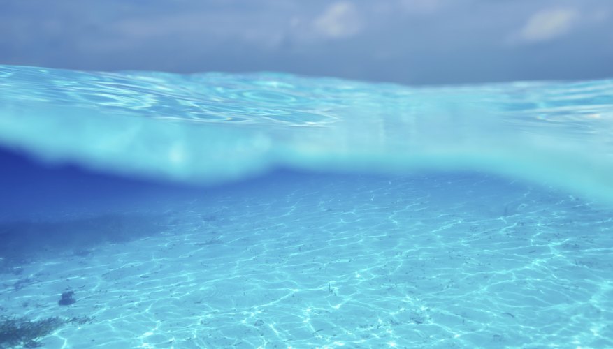Image looking through the water at the bottom of the ocean. Image looking through the water at the bottom of the ocean.