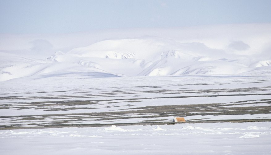 Résultats de recherche d'images pour « arctic canadian tundra winter »