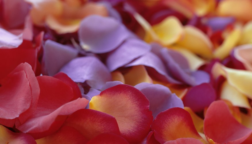 Capture the scent of fresh flowers in homemade liquid potpourri. Capture the scent of fresh flowers in homemade liquid potpourri.