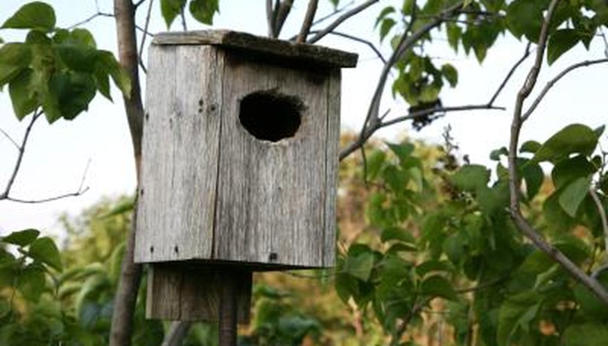 Attach your birdhouse to a tree or wooden pole. Attach your birdhouse to a tree or wooden pole.