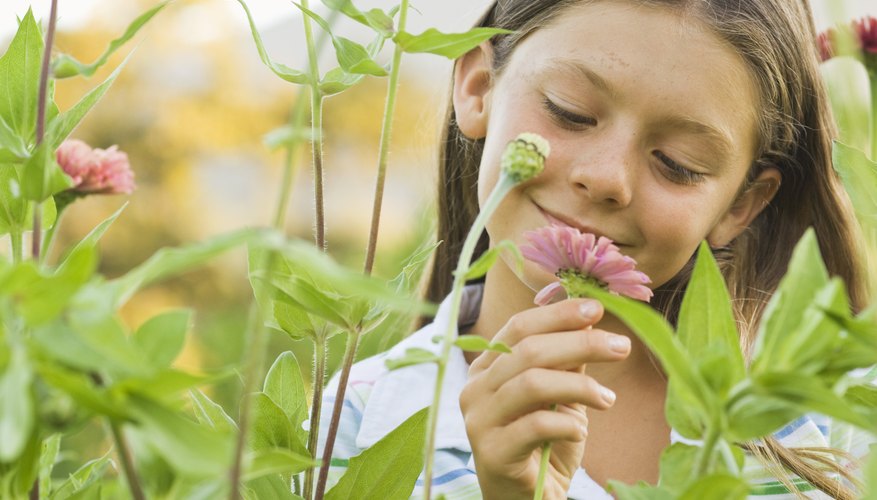 A child's physical development can influence her emotional development. A child's physical development can influence her emotional development.