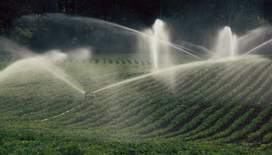 Excessive salt can be a problem with recycled irrigation water. Excessive salt can be a problem with recycled irrigation water.