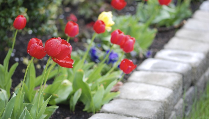 Growing flowers in raised beds allows you to see and smell them close up. Growing flowers in raised beds allows you to see and smell them close up.