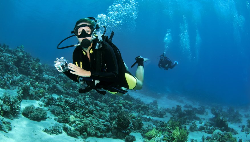 Send your teen to the ocean floor on a scuba diving adventure. Send your teen to the ocean floor on a scuba diving adventure.