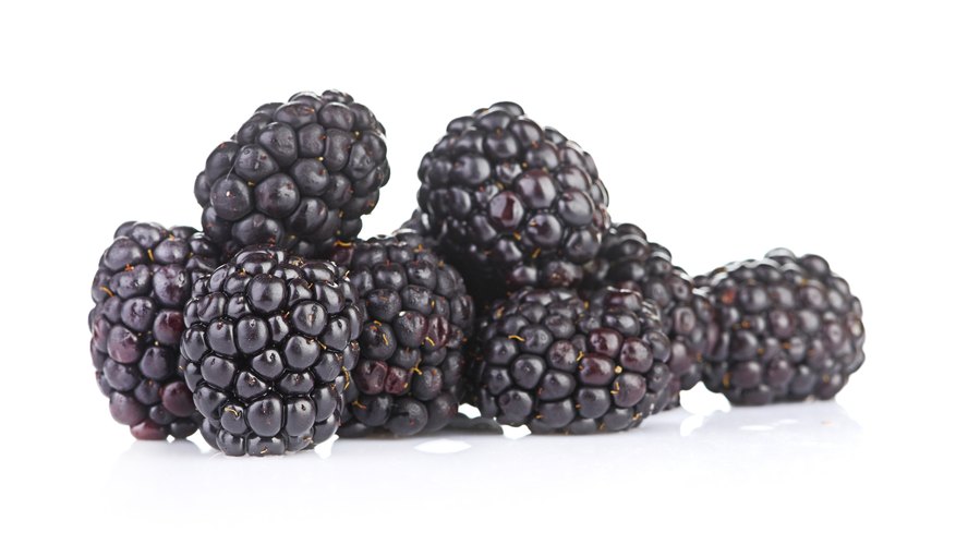 Marionberries are considered the Marionberries are considered the