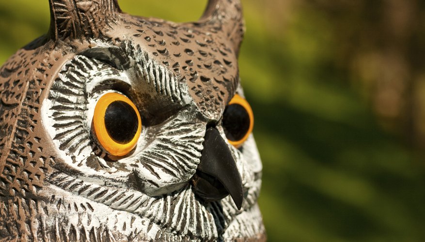 A plastic decoy owl. A plastic decoy owl.
