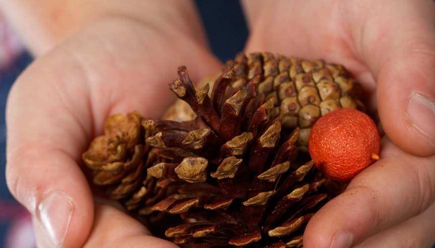 Natural objects such as pinecones feature funky textures for toddlers to explore. Natural objects such as pinecones feature funky textures for toddlers to explore.