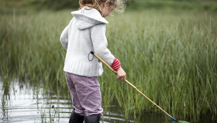 Kids can explore St. Marys' salt-water marshes. Kids can explore St. Marys' salt-water marshes.
