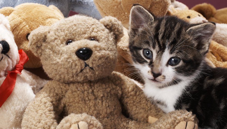 Choose a neglected stuffed animal to re-purpose as a cell phone cover. Choose a neglected stuffed animal to re-purpose as a cell phone cover.