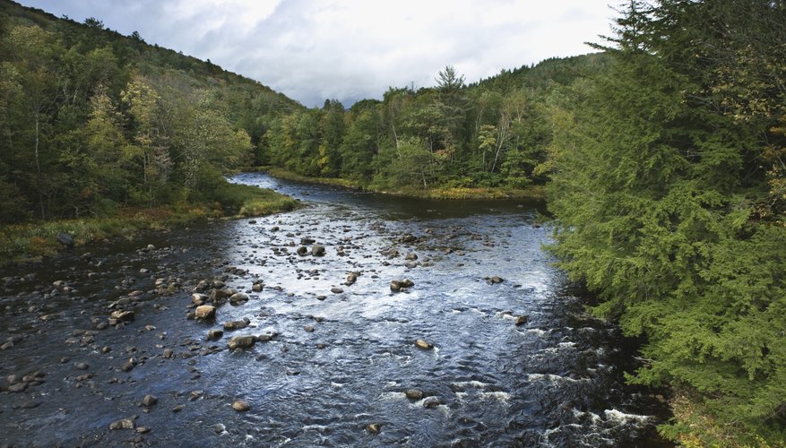 A river flows through the Temperate Adirondack State Park in New York. A river flows through the Temperate Adirondack State Park in New York.