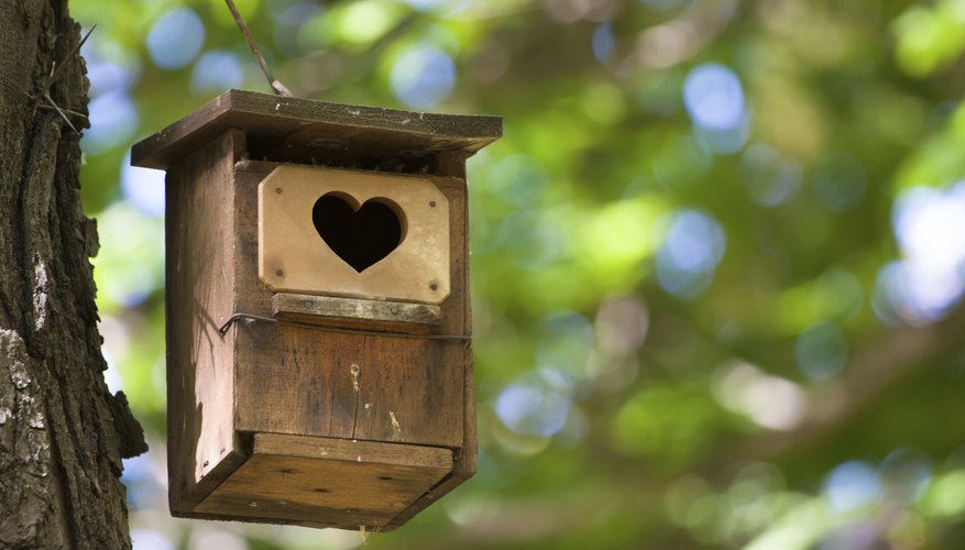 Small details will make your birdhouse extra special. Small details will make your birdhouse extra special.