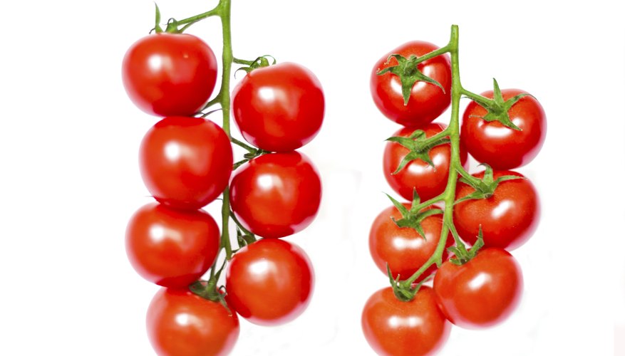 Cherry tomatoes grow easily in upside-down planters. Cherry tomatoes grow easily in upside-down planters.
