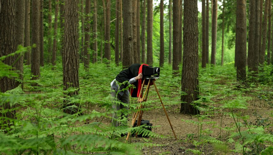 Photographer taking a photo in the woods on an old fashion camera. Photographer taking a photo in the woods on an old fashion camera.