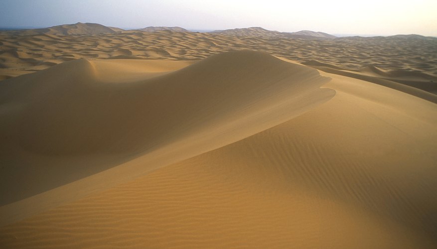 Ten Facts on Hot Deserts | Sciencing