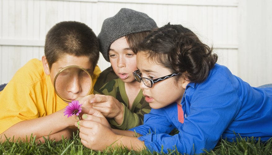 Kids playing outside with a magnifying glass. Kids playing outside with a magnifying glass.