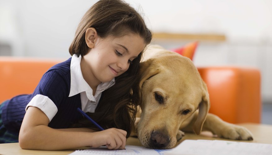 Family pets help children understand responsibility and care duty to others. Family pets help children understand responsibility and care duty to others.