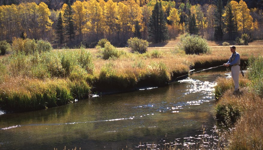 Conserving water saves energy and money, and helps to protect our fresh water sources. Conserving water saves energy and money, and helps to protect our fresh water sources.