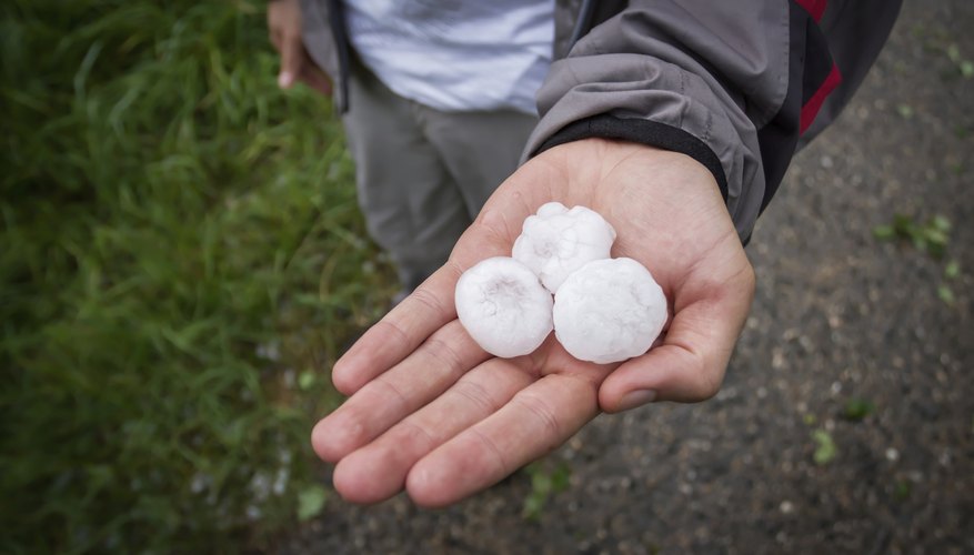 A man holding some hail in his hands. A man holding some hail in his hands.