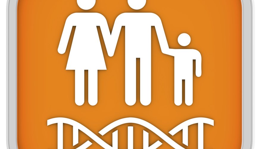 Primary And Secondary Sexual Characteristics Sciencing