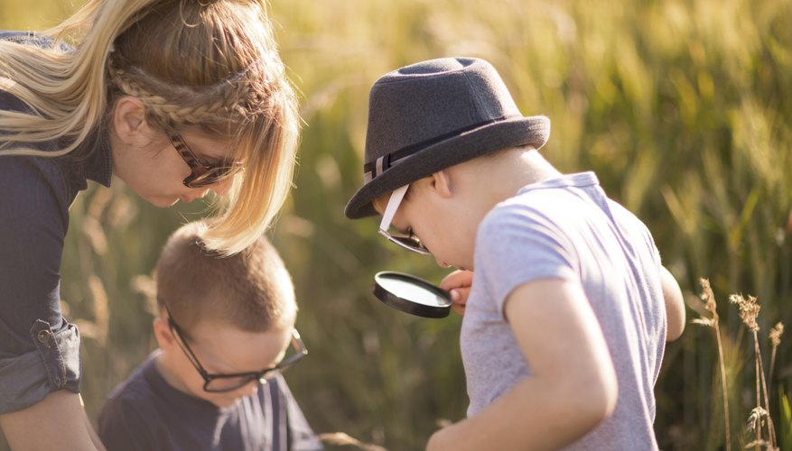 Mother and sons studying the environment together outside. Mother and sons studying the environment together outside.