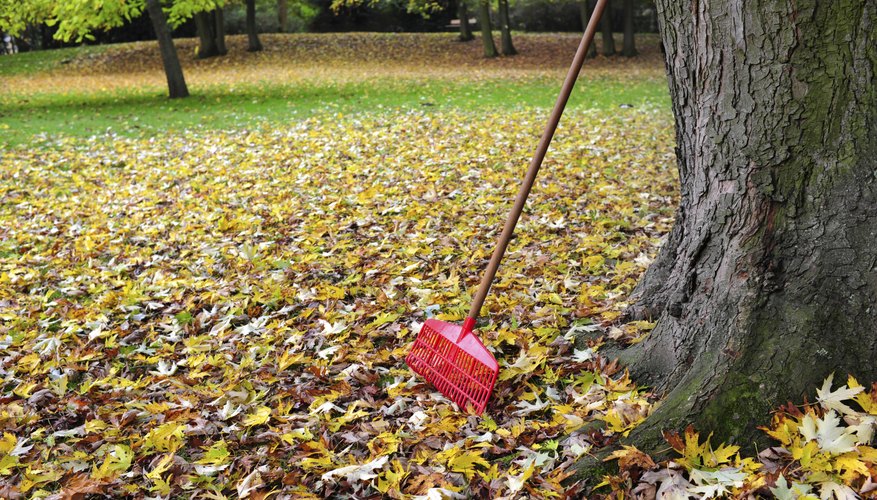 Leaf rake leaning against tree over pile of leaves. Leaf rake leaning against tree over pile of leaves.