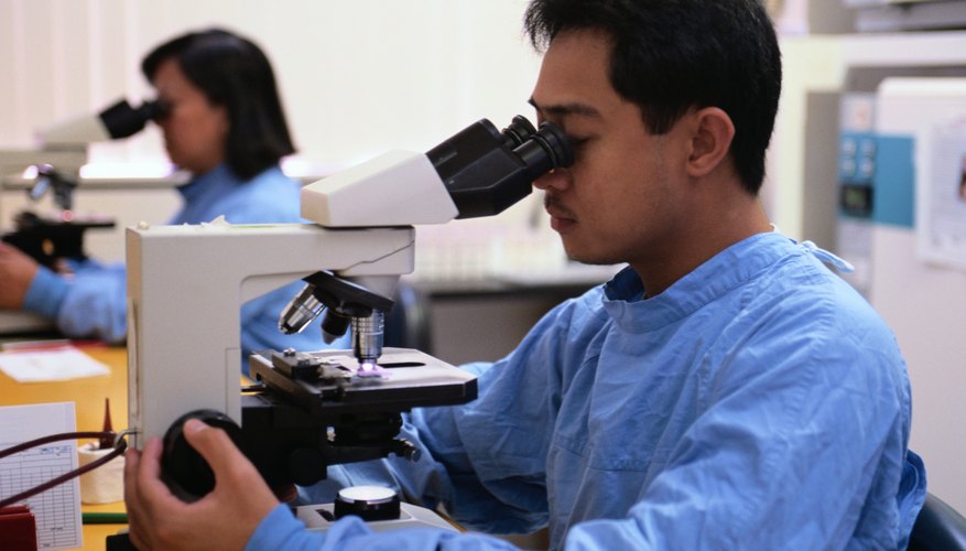 Two lab workers look through compound microscopes Two lab workers look through compound microscopes